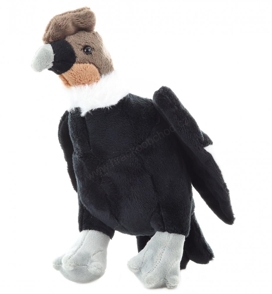 ZOO: maskotka ptak Kondor 22cm (69898)