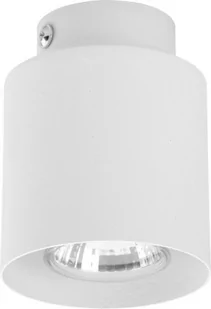 TK Lighting Lampa sufitowa TK 3406 z serii VICO WHITE - Lampy sufitowe - miniaturka - grafika 1