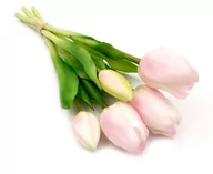 Sztuczne kwiaty - Tulipany silikonowe jak żywe różowe bukiet 5 sztuk gumowe 29 cm - miniaturka - grafika 1