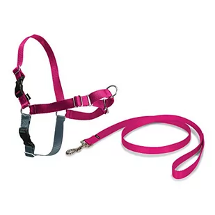 PetSafe Petsafe Ew-H-L-Ras-19 Easy Walk Geschirr, Mittel, L, Himbeer Rosa - Smycze dla psów - miniaturka - grafika 1