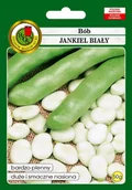 Nasiona i cebule - NASIONA BÓB JANKIEL BIAŁY WCZESNY BARDZO PLENNY50G - miniaturka - grafika 1