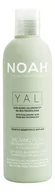 Odżywki do włosów - Noah Noah Pielęgnacja włosów YAL FILLER CONDITIONER WITH HYALURONIC ACID 250 ml - miniaturka - grafika 1