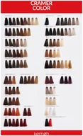 Farby do włosów i szampony koloryzujące - Kemon Cramer Color Kremowa farba do włosów z olejem kokosowym 100ml Ash Brown 4.1 - miniaturka - grafika 1