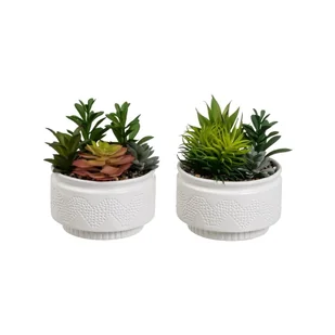Sztuczne rośliny zestaw 2 szt. (wysokość 19 cm) Cactus – Casa Selección - Sztuczne kwiaty - miniaturka - grafika 1