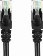 Pozostałe akcesoria sieciowe - Accura UTP kat6 10.0m czarny - miniaturka - grafika 1