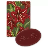 Mydła - Skona Ting Mydełko ozdobne jabłko Gwiazda Betlejemska 25 g - miniaturka - grafika 1