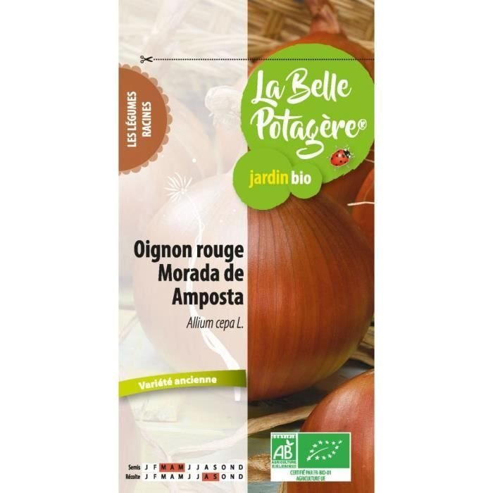 Cebula czerwona Morada de Amposta 1 g