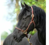Kantary dla koni - Kavalkade Kantar pleciony TESSA - miniaturka - grafika 1