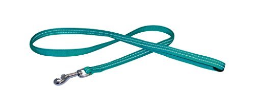 Amtra Croci C5079843 Nylon Leine Soft Reflektierend, 25 X 1200 Mm, Türkis