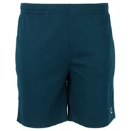 Spodenki męskie - Spodenki męskie FZ Forza Landos M Shorts Poseidon XXL - miniaturka - grafika 1