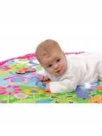 Maty edukacyjne - MATA EDUKACYJNA ŚWIAT OWADÓW PLAYGRO - miniaturka - grafika 1