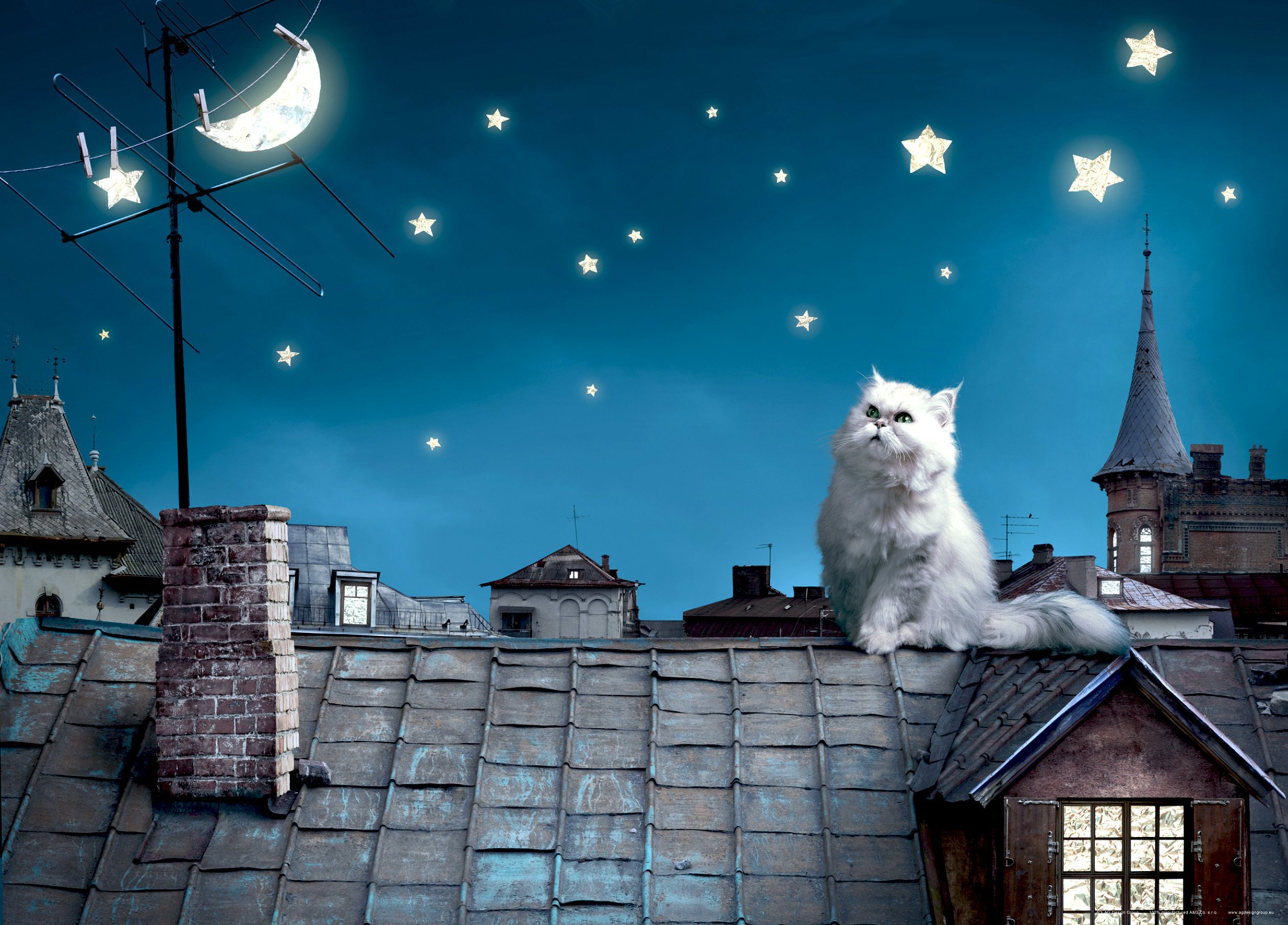 Sanders & Sanders plakat kot niebieskimIszarym - 600685 - 160 x 110 cm