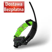 Specjalistyczne artykuły dla zwierząt - Obroża dla innego psa DOG GPS X25TB - Zielony - miniaturka - grafika 1