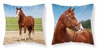 Poszewki na poduszki - Detexpol Poszewka 40x40 bawełniana Koń MF003_20220409075845 - miniaturka - grafika 1