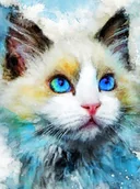 Malowanie po numerach - Obraz Malowanie Po Numerach Na Krośnie + Rama - miniaturka - grafika 1