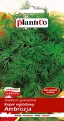 Nasiona i cebule - Plantico Koper Ambrozja - miniaturka - grafika 1