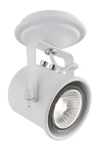Kaspa Spot LAMPA sufitowa ALTER 50275101 metalowa oprawa halogenowa REFLEKTOR IP - Oprawy, klosze i abażury - miniaturka - grafika 1