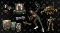 DLC - DOOM Eternal: Series Two Cosmetic Pack DLC (Switch) DIGITAL - miniaturka - grafika 1