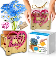 Nasiona i cebule - Prezent na DZIEŃ BABCI Niezapominajka Zestaw do uprawy NASIONA - miniaturka - grafika 1