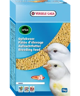 VERSELE-LAGA Orlux Breeding food Bianco - pokarm dla białych kanarków - Karma dla ptaków - miniaturka - grafika 1
