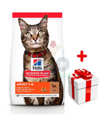 Sucha karma dla kotów - HILL'S SP Science Plan Feline Adult Jagnięcina 10kg + niespodzianka dla kota GRATIS! - miniaturka - grafika 1