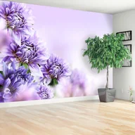 Fototapety - Fototapeta Fioletowe kwiaty - miniaturka - grafika 1