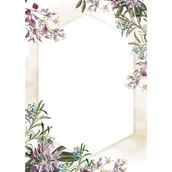 Dyplomy i okładki - Dyplom Argo Umbria 170g/m2 opakowanie 25 sztuk - miniaturka - grafika 1