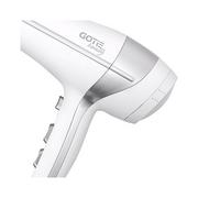 Gotie GSW-200W