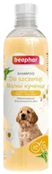 Szampony i odżywki dla psów - BEAPHAR Shampoo Puppy - szampon dla szczeniąt 250 ml - miniaturka - grafika 1