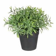 Sztuczne kwiaty - Sztuczny kwiat w doniczce HERBS 1 20 cm zielony - miniaturka - grafika 1