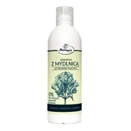 Szampony do włosów - Herbapol KRAKÓW Szampon z Mydlinicą 250 ml włosy tłuste HER380 - miniaturka - grafika 1