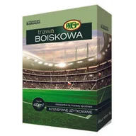 Trawy i trawniki - Mieszanka Traw Boiskowa 1 kg kartonik - miniaturka - grafika 1