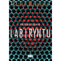 Przebudzenie labiryntu - Fantasy - miniaturka - grafika 1