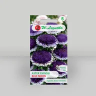 Nasiona i cebule - Aster chiński Liliput Blue Moon Niebieski 0,3g - Nasiona - W. Legutko - miniaturka - grafika 1