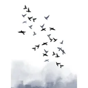 Plakaty - Plakat 30 x 40 cm Ptaki Niebieskie - miniaturka - grafika 1