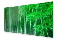 Dekoracje domu - Panel kuchenny HOMEPRINT Zielony las bambusowy 120x60 cm - miniaturka - grafika 1