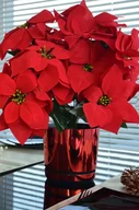 Donice - Ø 16 Doniczka z podstawką * Czerwony błyszczący wzór, 16 cm, NOWOCZESNA styl glamour - miniaturka - grafika 1