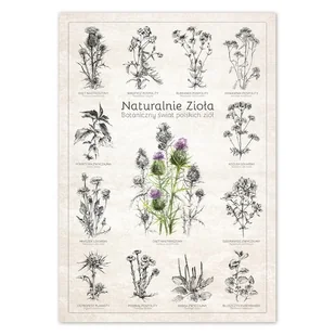 Naturalnie Zioła. Plakat botaniczny. - Obrazy i zdjęcia Naturalnie Zioła. Plakat botaniczny. - Obrazy i zdjęcia - miniaturka - grafika 1