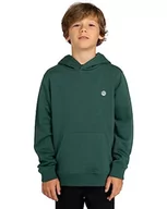 Bluzy dla chłopców - Element Chłopięca bluza młodzieżowa Cornell Classic Po (1 szt.) - miniaturka - grafika 1