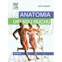 Urban & Partner Anatomia układu ruchu - Zofia Ignasiak - Książki medyczne - miniaturka - grafika 1