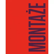 Montaże. Debora Vogel i nowa legenda miasta praca zbiorowa - Książki o kulturze i sztuce - miniaturka - grafika 1