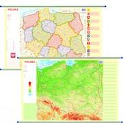 Globusy - EkoGraf Mapa ścienna Polska dwustronna fizyczno-administracyjna 1:1 800 000 - miniaturka - grafika 1