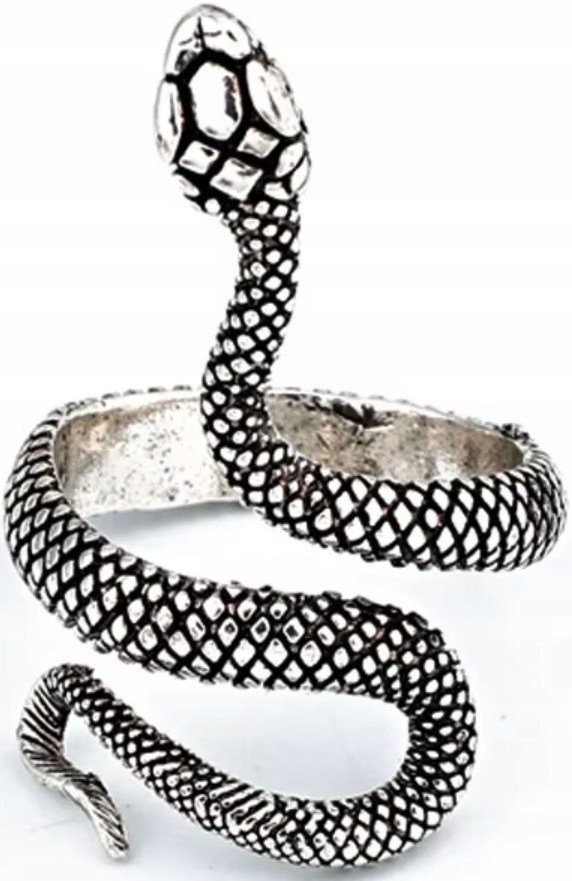 Srebrny Pierścionek z Wężem w Stylu Boho Vintage Regulowany Stal Szlachetna