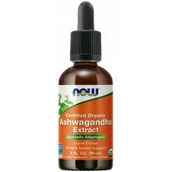 Układ nerwowy - Ashwagandha extract liquid 59 ml ( Now Foods) - miniaturka - grafika 1
