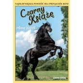 Pozostałe książki - Czarny Książę - miniaturka - grafika 1