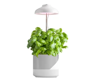 LED Lampka do wewnętrz dla roślin LED/5W/5V 3200K - Lampy stojące - miniaturka - grafika 1