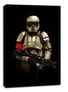 Obrazy i zdjęcia na płótnie - Star Wars Gwiezdne Wojny Szturmowiec - obraz na płótnie Wymiar do wyboru: 20x30 cm - miniaturka - grafika 1