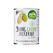 Koncentraty warzywne, przeciery - Jackfruit Młody Zielony w Zalewie (Młode Owoce Drzewa Bohenkowego / Chlebowca)  "Young Green Jackfruit in Brine" 565g Nature's Charm - miniaturka - grafika 1