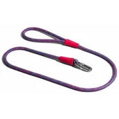 Smycze dla psów - Haas F1 Team Zee Dog dla psa fioletowa Nebula - miniaturka - grafika 1