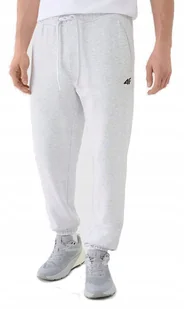 M��skie spodnie dresowe 4F TROM1139 27M XXL - Dresy męskie - miniaturka - grafika 1